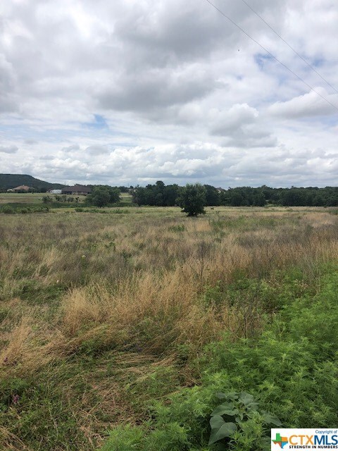 1266 Lutheran Church Rd, Copperas Cove, TX 76522 - photo 3