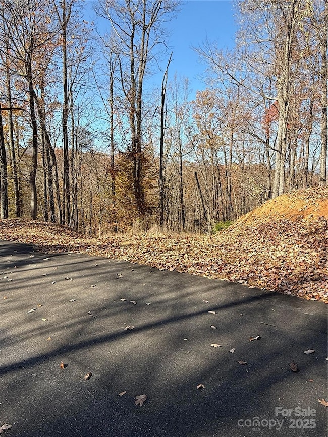 V/L Lot 72 & 170 Black Lark Dr, Marion, NC 28752 - photo 2