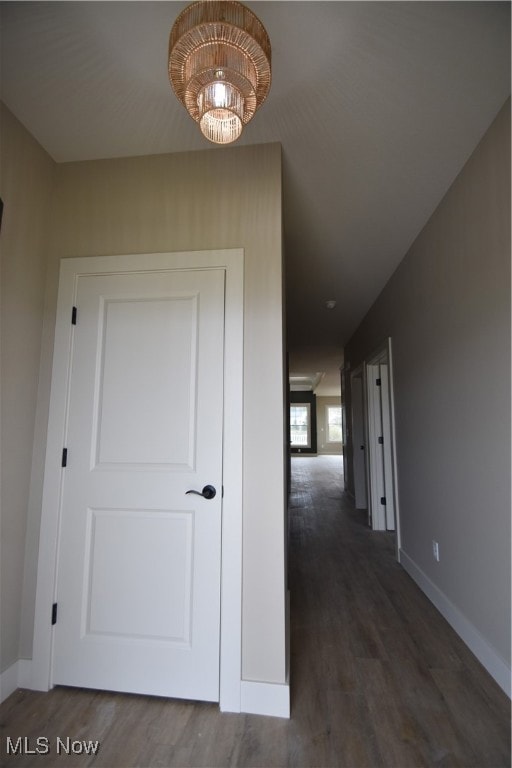 Hall with dark wood-style flooring