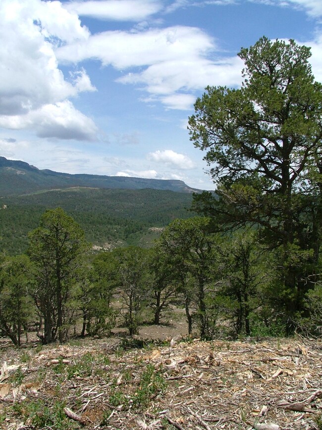 0 Raton Overlook unit Parcel 8 18-2, Trinidad, CO 81082 - photo 3