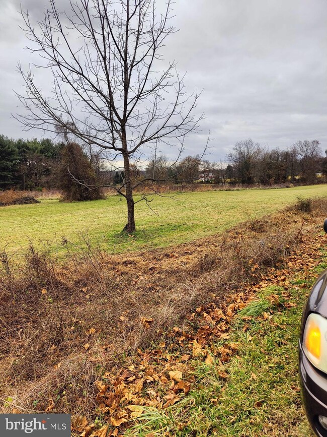 5087 Lower Mountain Rd, New Hope, PA 18938 - photo 6