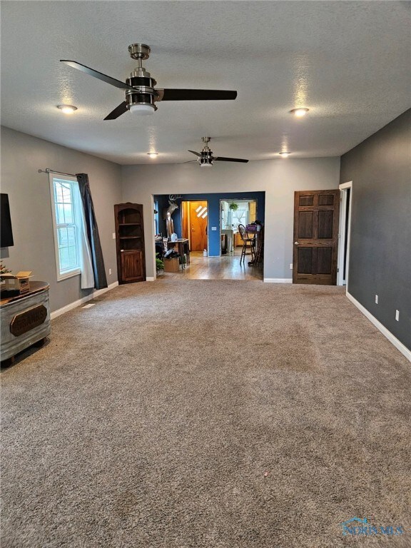 14111 Freyman Rd, Cygnet, OH 43413 - photo 3