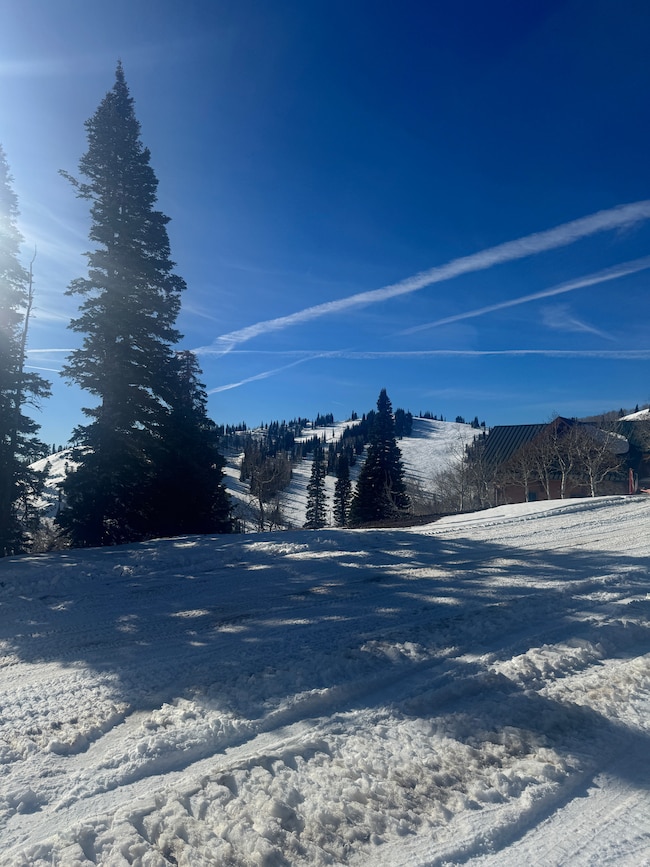 6838 E 6675 N unit 2, Eden, UT 84310 - photo 4