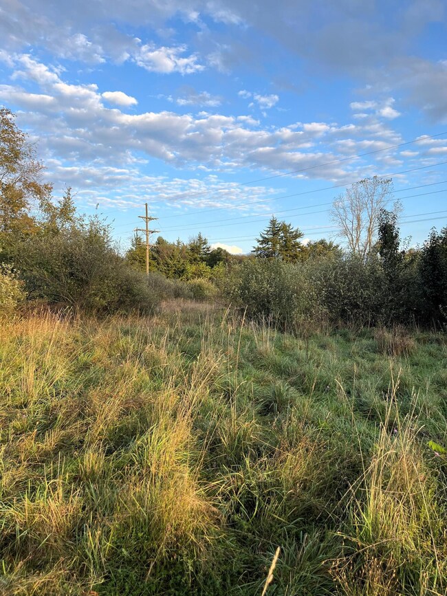 0 Dexter Chelsea Dr Parcel B 3 unit 24052080, Dexter, MI 48130 - photo 5