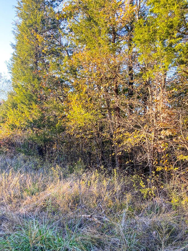 IMG_0738