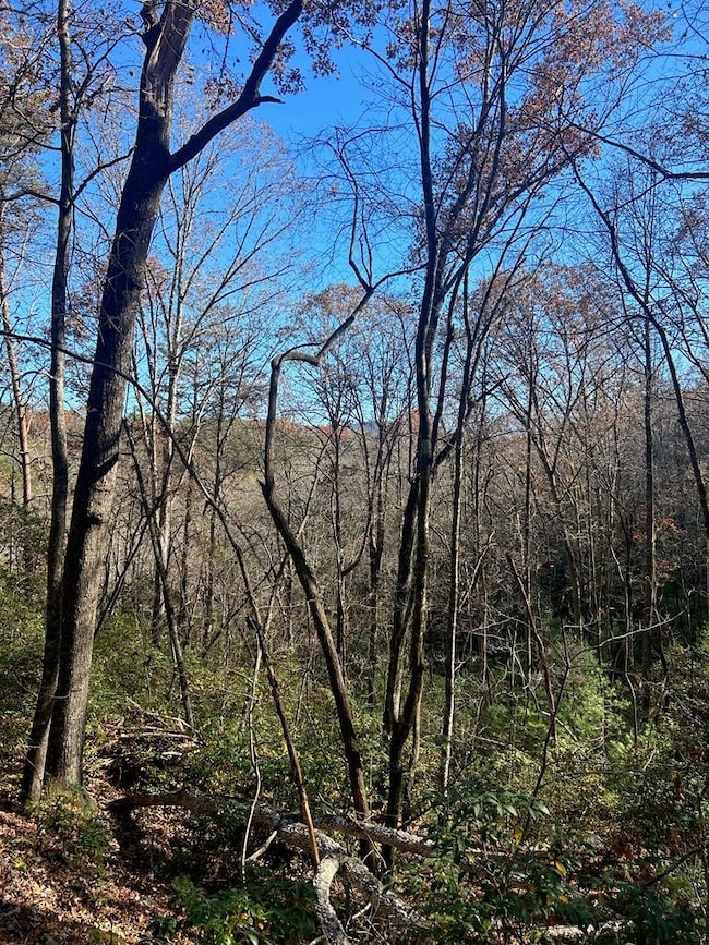 445 Apache Ct, Ellijay, GA 30540 - photo 3