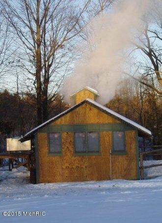 3388 4th St, Wayland, MI 49348 - photo 5