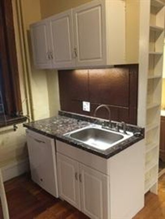 39 E Concord St unit 2, Boston, MA 02118 - photo 5