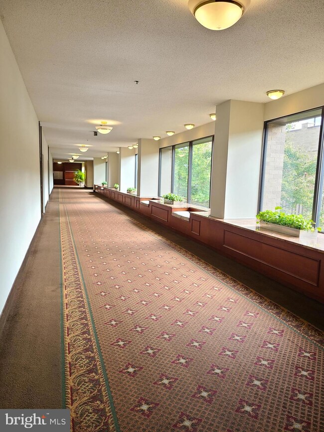 3709 S George Mason Dr unit 502, Baileys Crossroads, VA 22041 - photo 7