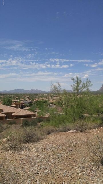 Lot Views