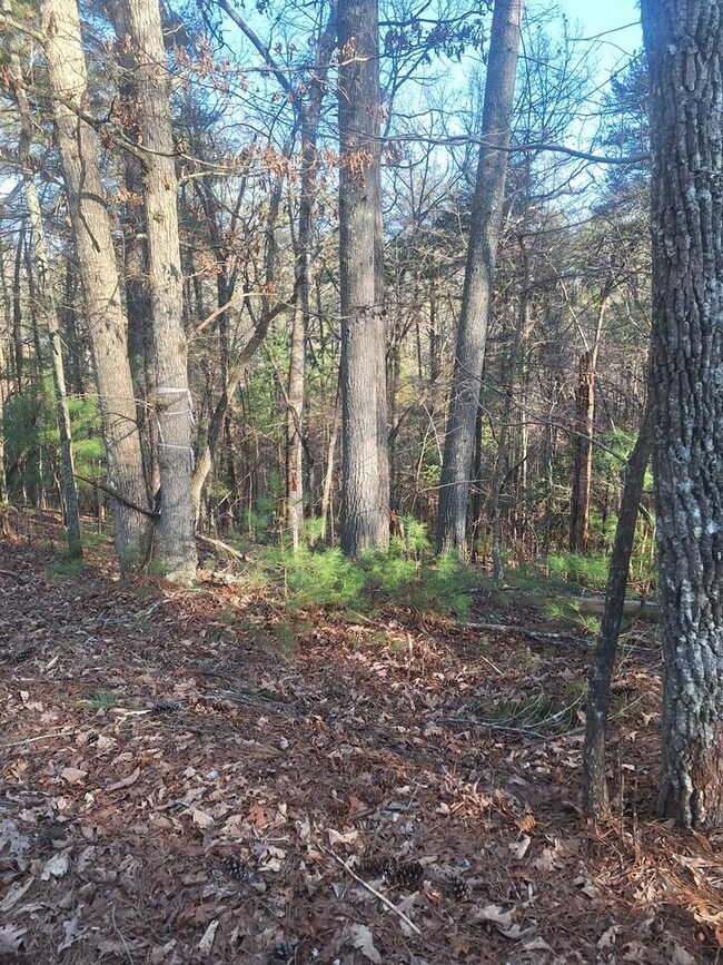 0 Toccoa River Ln unit 402049, Mineral Bluff, GA 30559 - photo 4