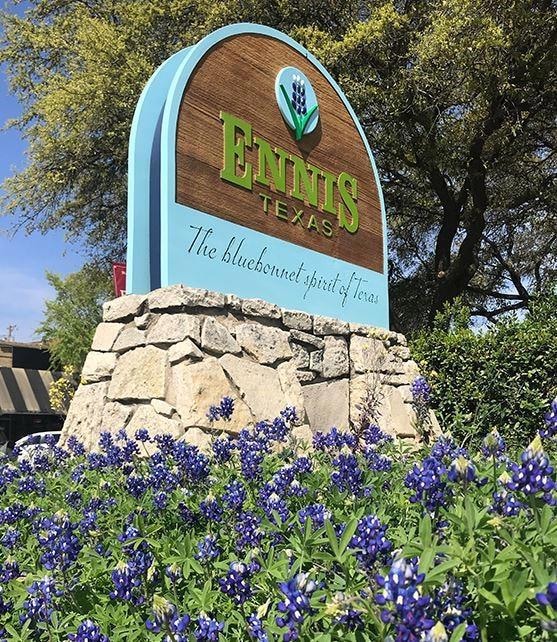 TBD 003 Sandswitch Rd, Ennis, TX 75119 - photo 3