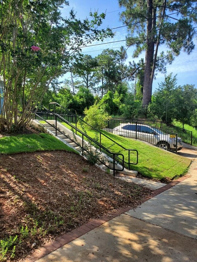 908 N Jackson St, Albany, GA 31701 - photo 4