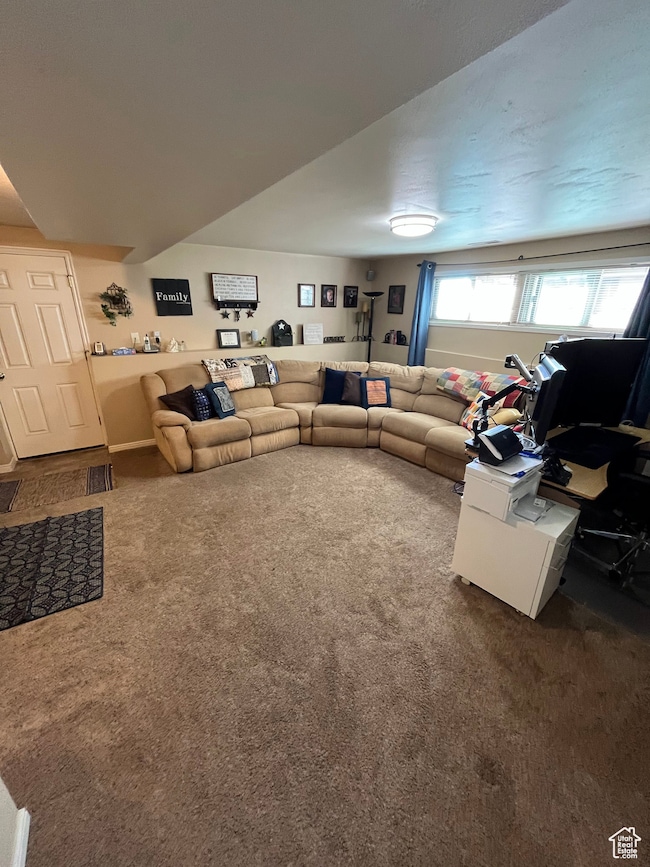 Living area featuring carpet floors