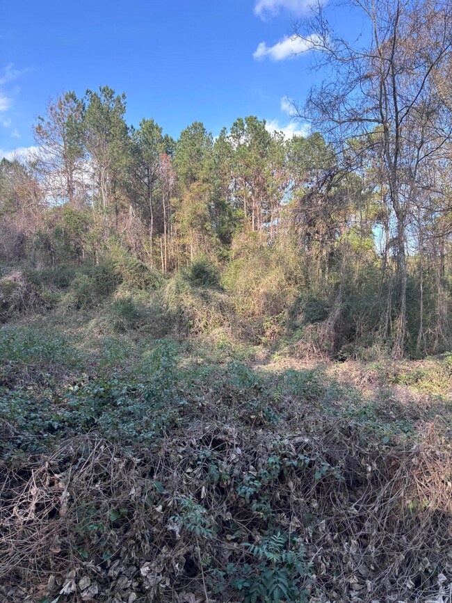 00 Jones Rd, Foxworth, MS 39483 - photo 7