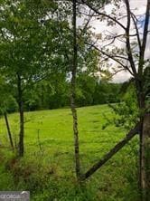 707 Evans St, Woodstock, GA 30188 - photo 5