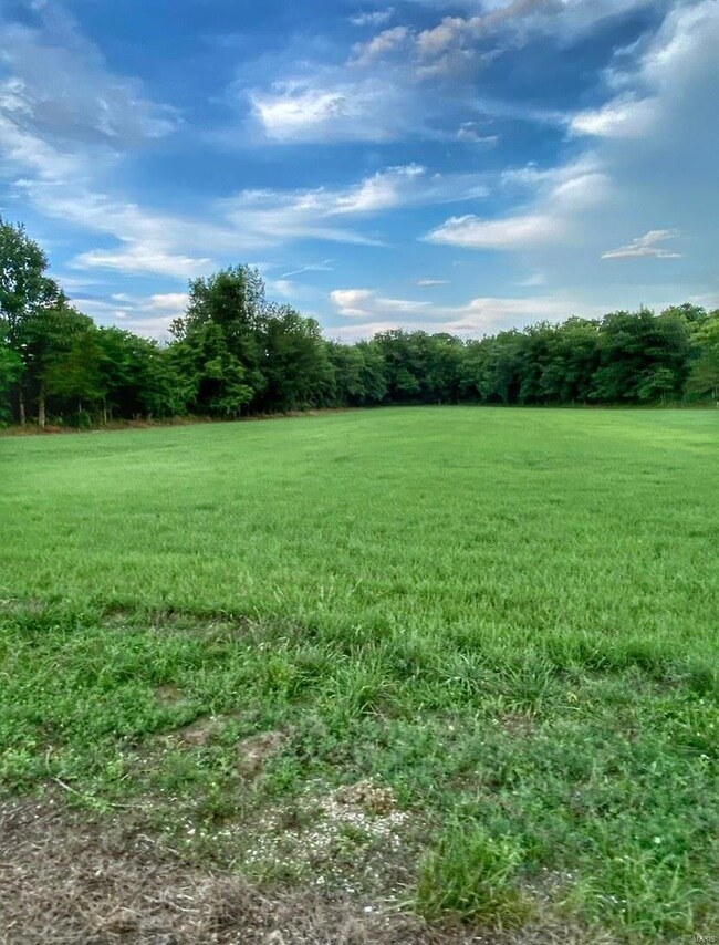 1580 Stacy Ln, Robertsville, MO 63072 - photo 6