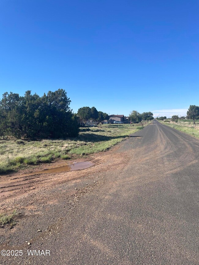37 Frontage Rd, Concho, AZ 85924 - photo 5