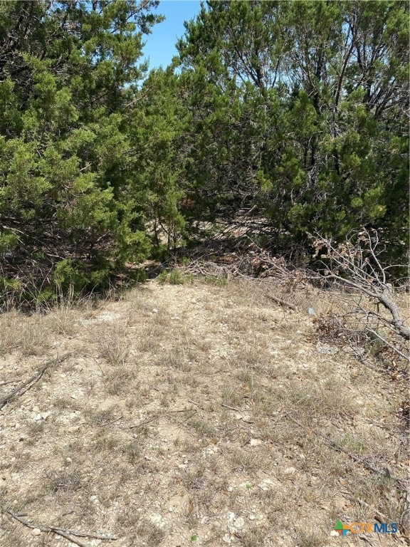 905 S 27th St, Copperas Cove, TX 76522 - photo 2