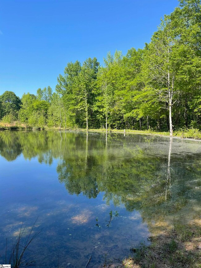 10 Clyde Rd, Fountain Inn, SC 29644 - photo 7