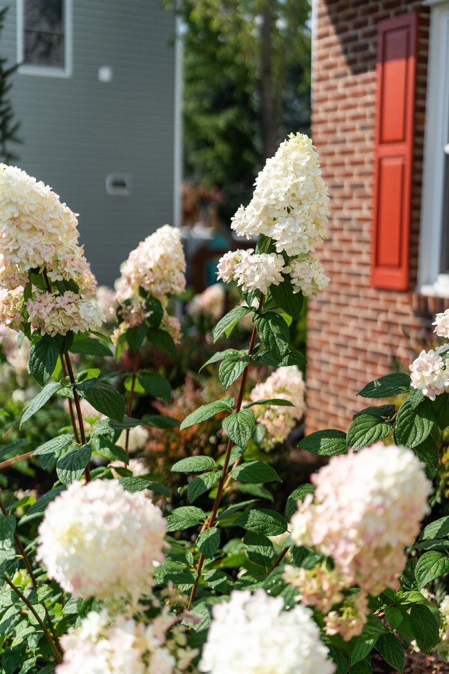 39 Quail Ln, Waynesboro, VA 22980 - photo 6