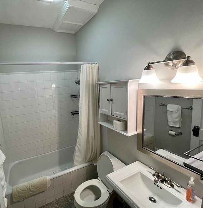 318 Tappan St unit 1, Brookline, MA 02445 - photo 7