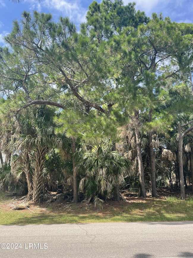 664 Dolphin Rd, Fripp Island, SC 29920 - photo 4