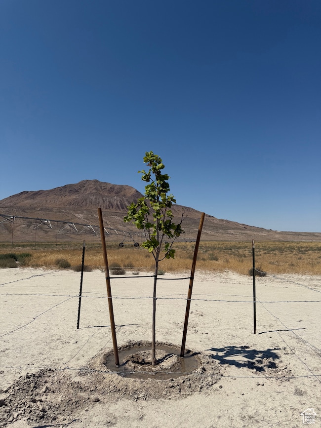 2000 S River Bottom Rd, Dugway, UT 84022 - photo 5