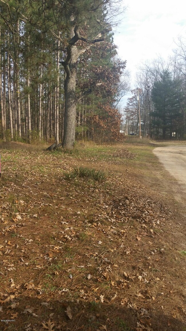 1821 W Warren Rd, Bitely, MI 49309 - photo 5