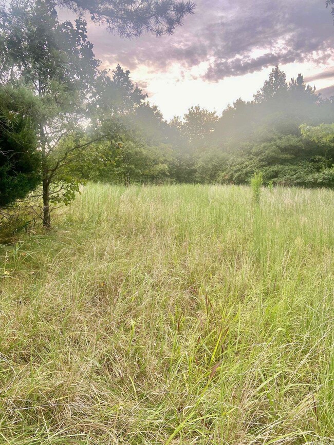 2053 Greene 624 Rd, Paragould, AR 72450 - photo 7