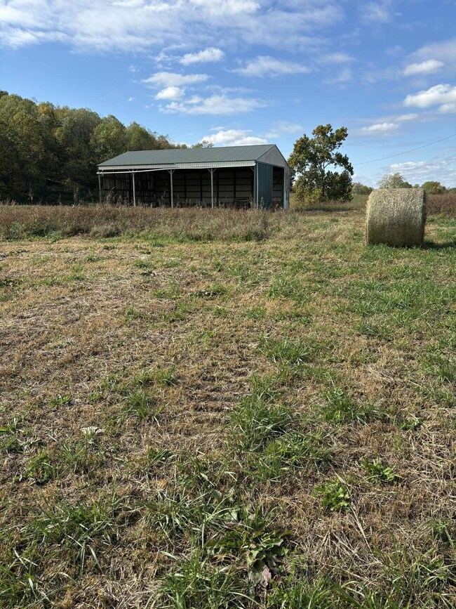 Pine Grove Ch Rd, Vanceburg, KY 41179 - photo 4