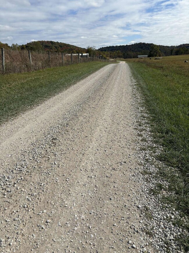 Pine Grove Ch Rd, Vanceburg, KY 41179 - photo 6