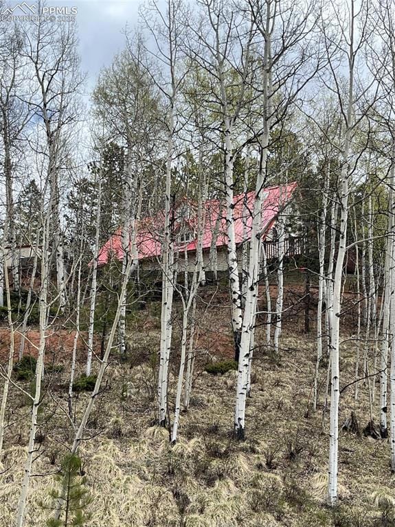 646 Grey Eagle Dr, Cripple Creek, CO 80813 - photo 4