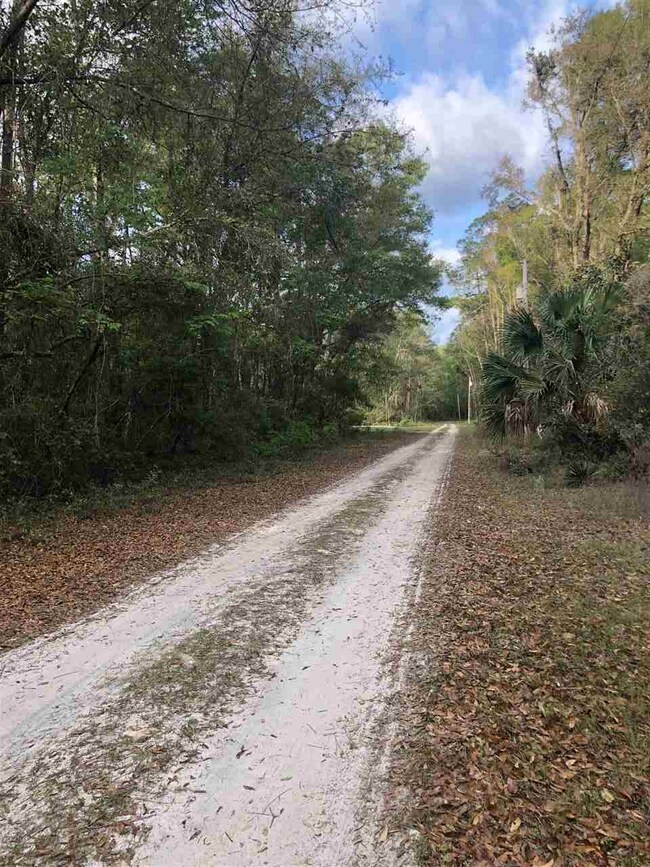 0 Noles Ln unit 1, Crawfordville, FL 32327 - photo 2