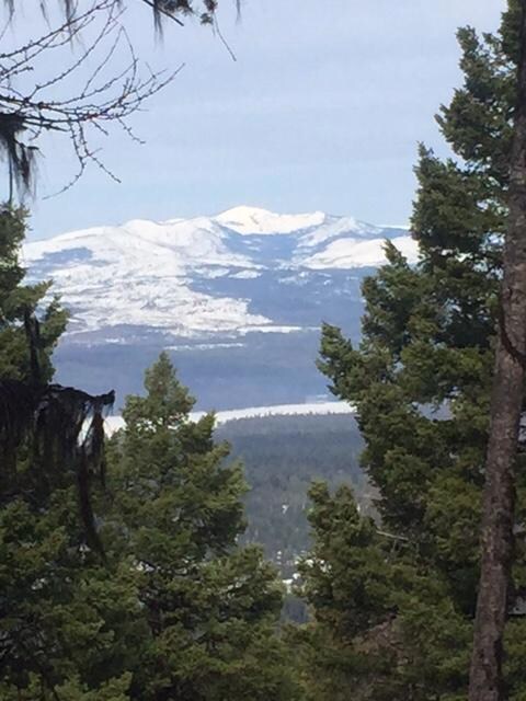 723 Wolverine Dr, Seeley Lake, MT 59868 - photo 4