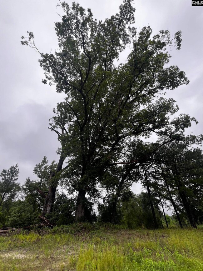 703 Neds Creek Rd, Kershaw, SC 29067 - photo 6