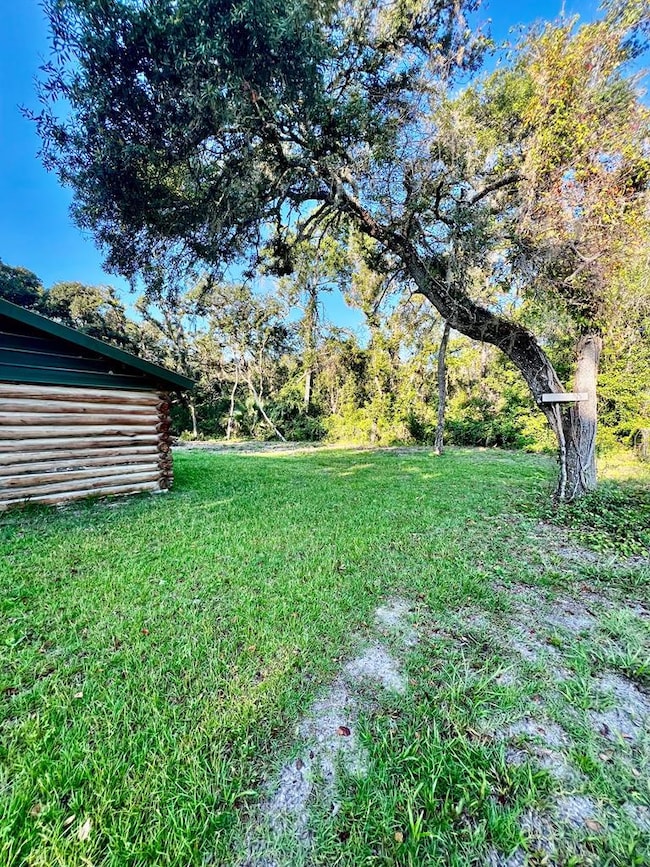 234 NE 482nd Ave, Old Town, FL 32680 - photo 7