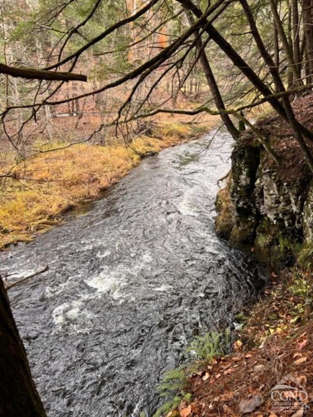 91 Laurie Ln, Cairo, NY 12058 - photo 4