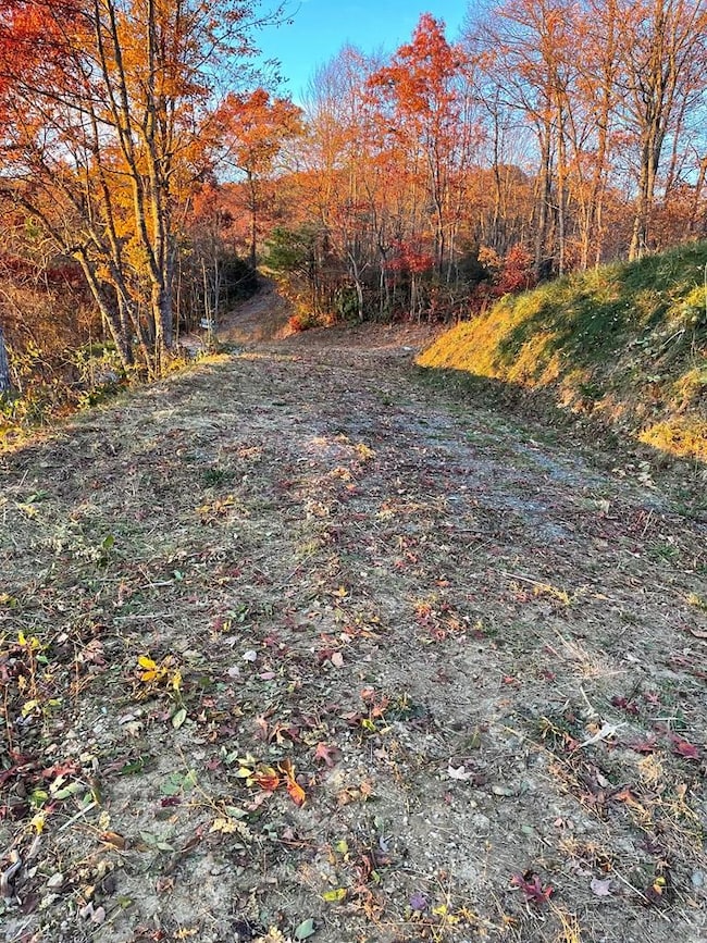 Lot 30 Alarka Highlands Dr, Bryson City, NC 28713 - photo 2