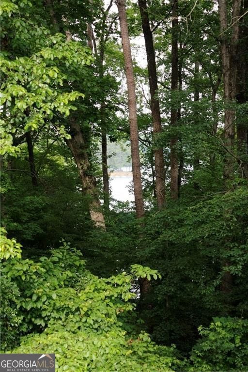 2120 Cleveland Hwy, Gainesville, GA 30506 - photo 3