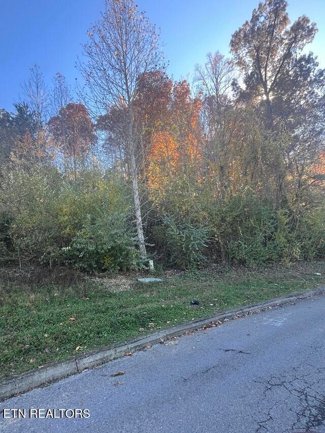 0 Anchor Ln unit 1322373, Andersonville, TN 37705 - photo 6