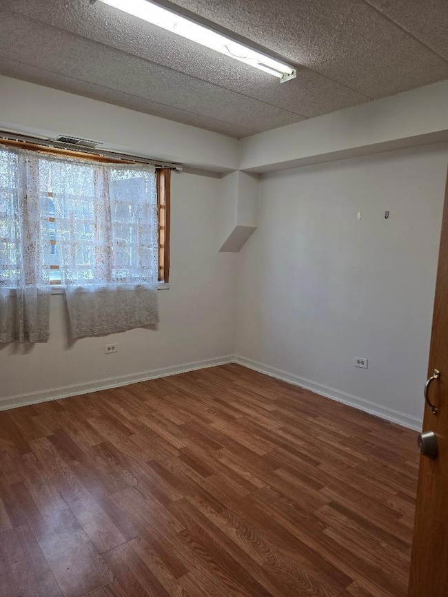 251 W 24th St unit 1, Chicago, IL 60616 - photo 7