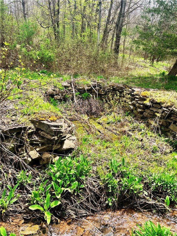 0 Sisson Hill Rd unit R1607206, Unadilla, NY 13849 - photo 7