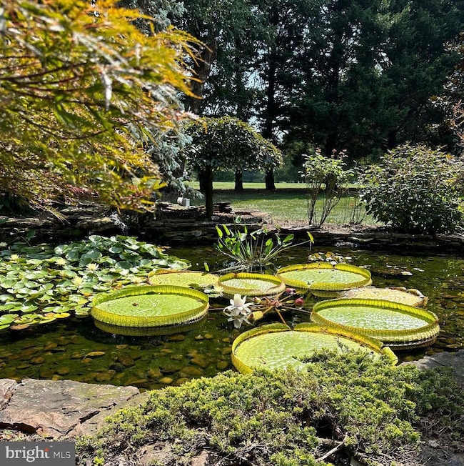 25285 Foxchase Dr, Chestertown, MD 21620 - photo 5