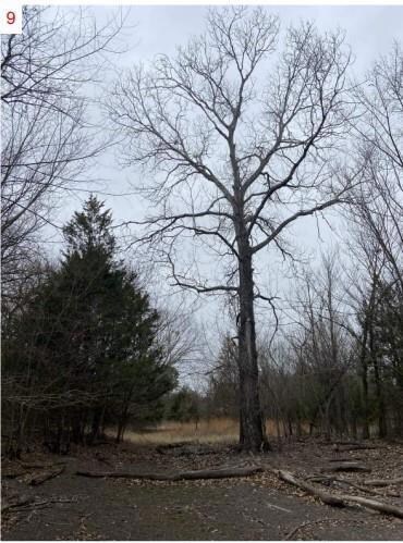 TBD Lot 5 Phillips Dr, Azle, TX 76020 - photo 7