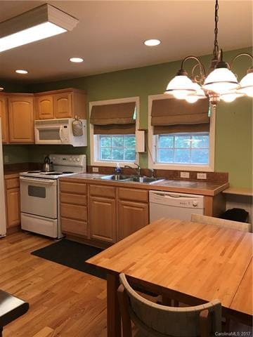 6 Warren Ave, Asheville, NC 28803 - photo 6