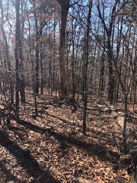 6 Radcliffe Dr, Bella Vista, AR 72714 - photo 3