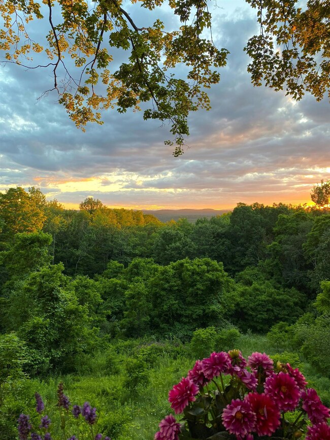 143 Streeter Hill Rd, West Chesterfield, NH 03466 - photo 5