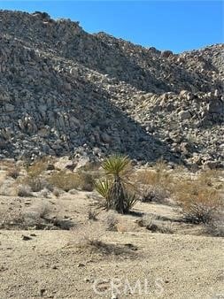 0 Jackass Trail unit JT25262958, 29 Palms, CA 92252 - photo 2