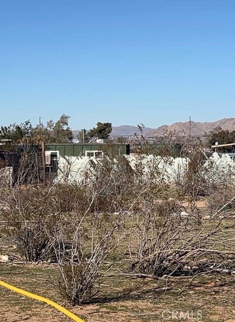 11061 Tujunga Rd, Apple Valley, CA 92308 - photo 5